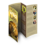 Open tri-fold brochure with a lion on the cover and photos on the inside panels